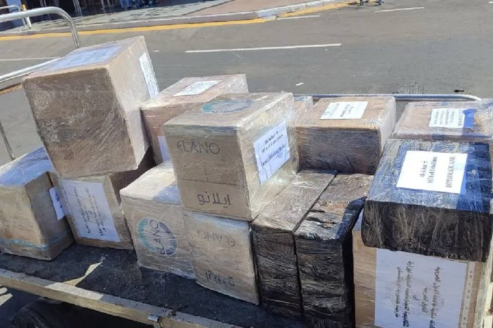 Египет передал вузам Узбекистана более 500 учебников