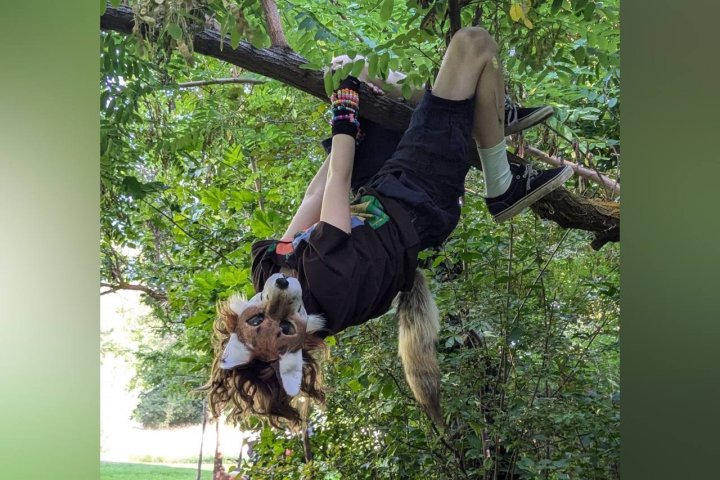 Квадроберам в Узбекистане может грозить до 15 суток ареста — видео