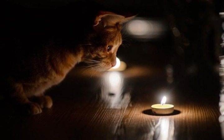 Стало известно, что становится причиной постоянных отключений света в Ташкенте