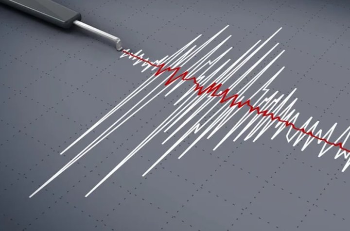 В Навоийской области произошло землетрясение