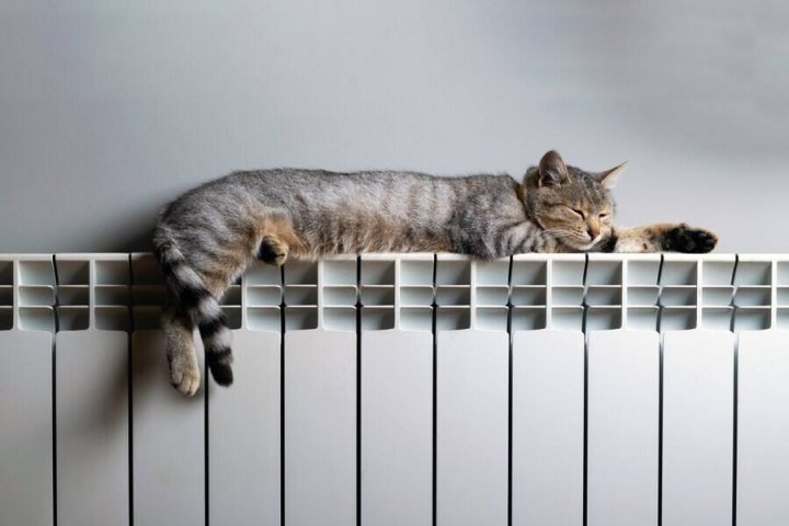 В Ташкенте скоро начнётся отопительный сезон — видео