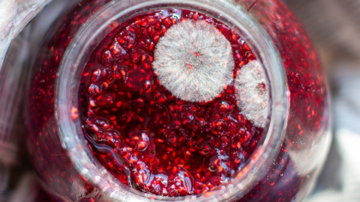 Как спасти варенье от плесени? Экспертное мнение