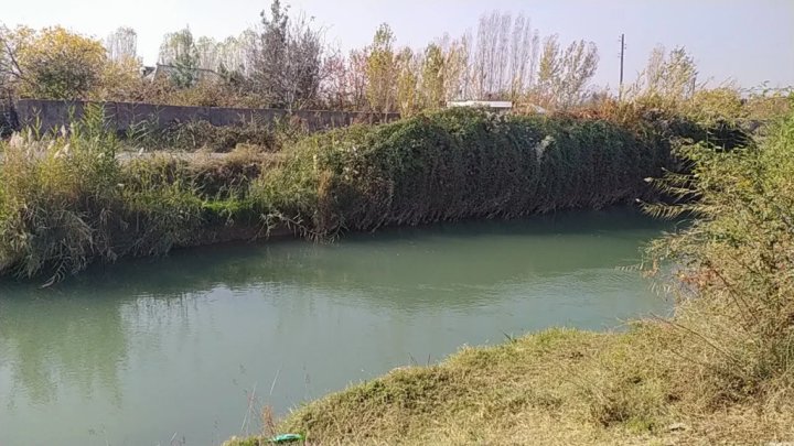 Обнаружено тело пропавшей девушки в Паркентском районе