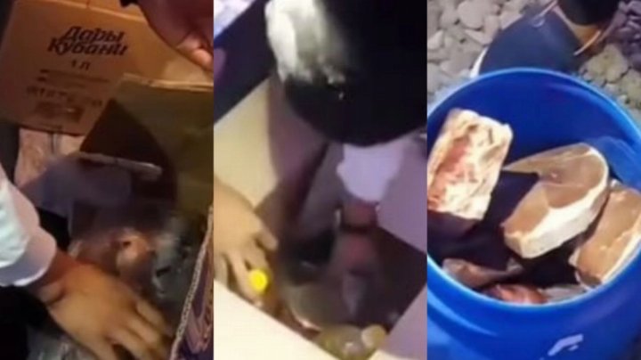 В Ташобласти директор детсада украла продукты у детей — видео