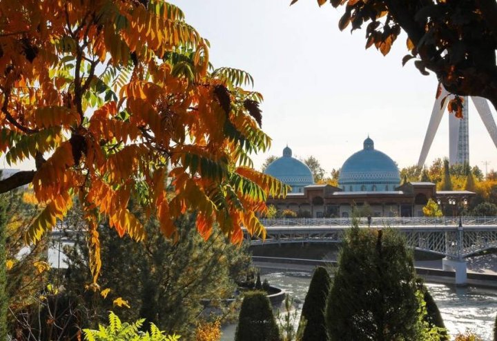 Сухая погода ожидается в Узбекистане на выходных