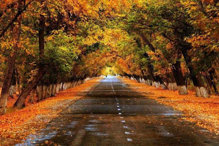 В Узбекистане ожидаются теплые и сухие выходные