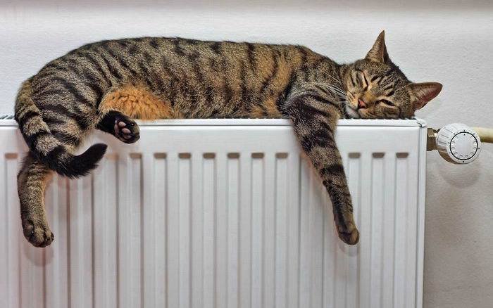 Ещё в трёх регионах Узбекистана включили отопление