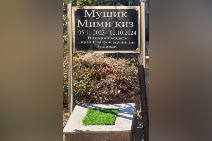 В Ташкенте похоронили кошку на людском кладбище