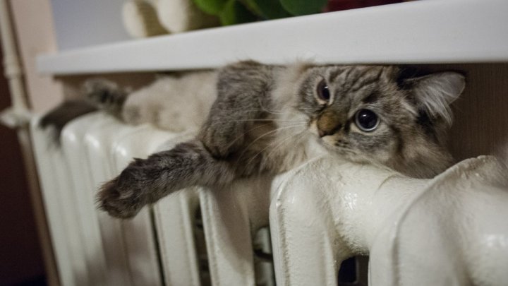 Названа дата начала отопительного сезона в Ташкенте