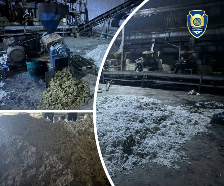 В Самаркандской области выявили подпольный цех по производству хлопкового масла