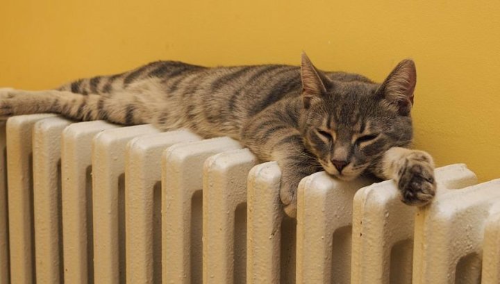 Стало известно, когда в Узбекистане вновь потеплеет