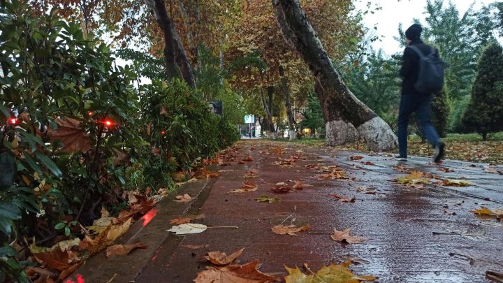 Узбекистан ожидает резкое похолодание погоды