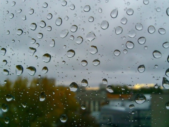 6-8 ноября: Узбекистанцев предупредили о сильном ветре и осадках