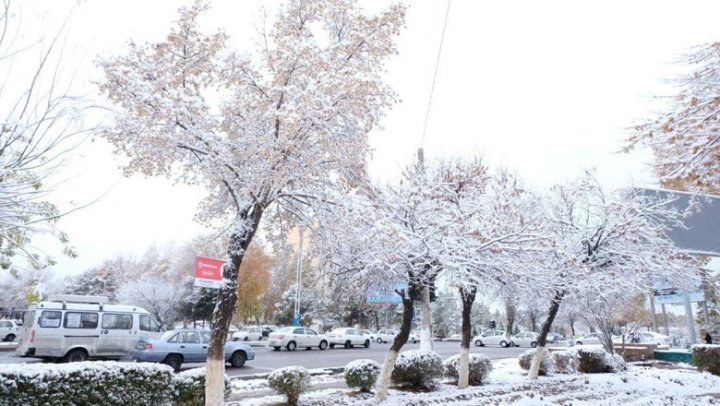 Узбекистан готовится к дождям и снегу
