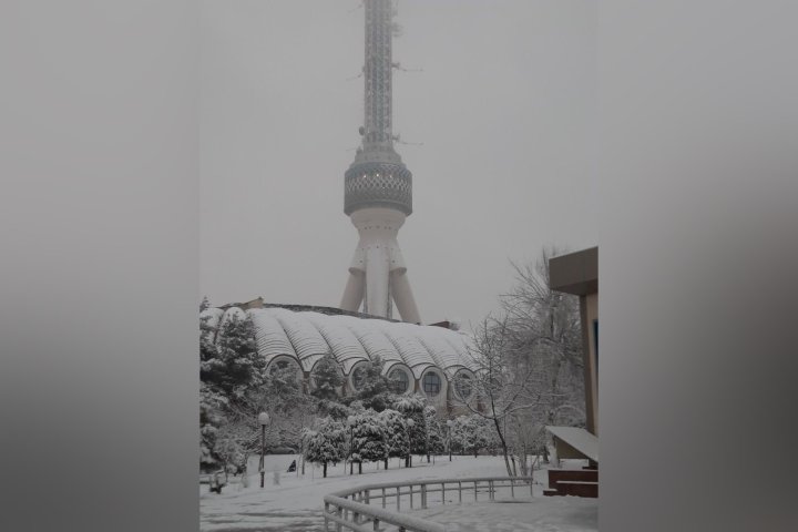 В Узбекистане похолодает до -8°C