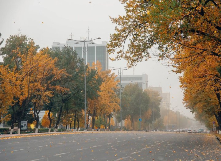 Опубликован прогноз погоды в Узбекистане на 8 ноября