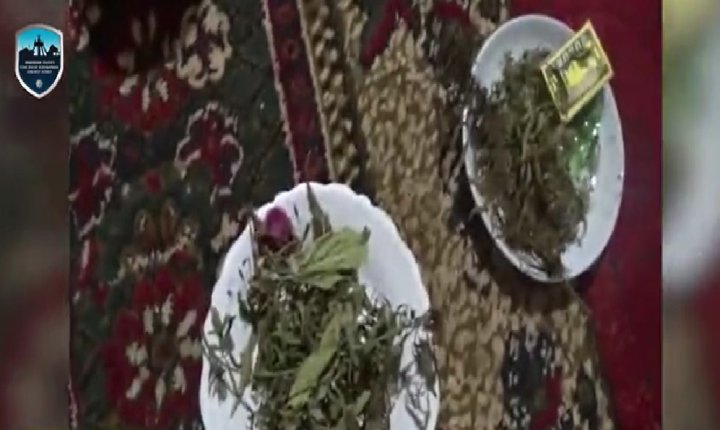 В Наманганской области мужчина хранил около 13кг марихуаны - видео