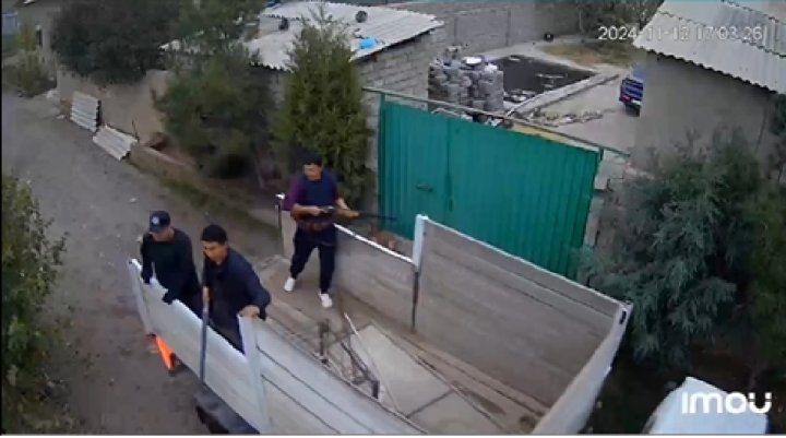 В Ташкентской области зверски убивали собак, в стиле «Безумного Макса» - видео