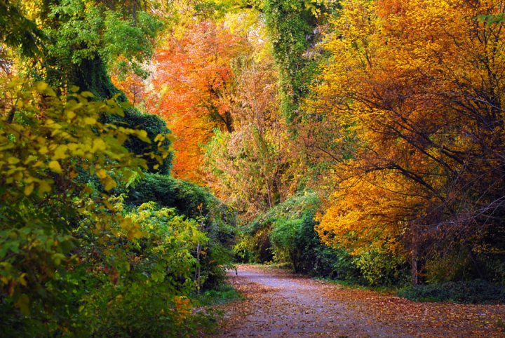 В Узбекистане намерены ввести запрет на приватизацию зелёных зон