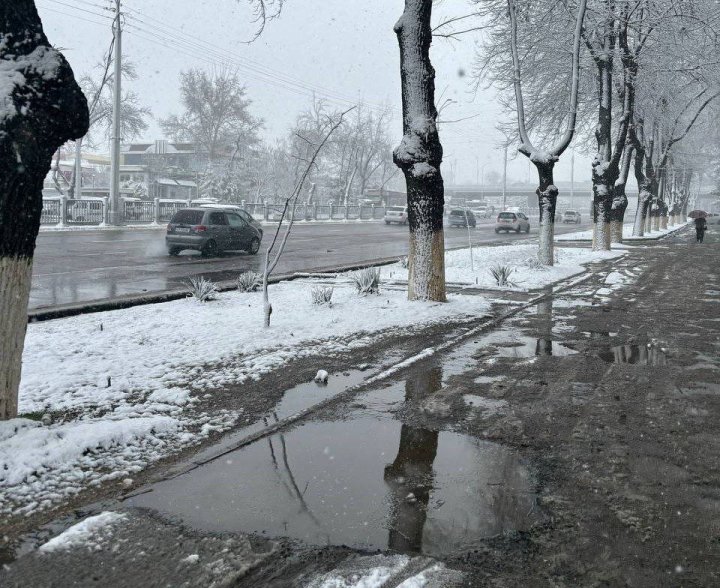 Узбекистанцам рассказали, в каких регионах температура воздуха понизится до -18 градусов