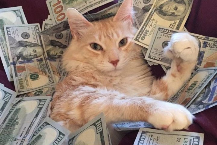 В Узбекистане упал курс всех иностранных валют