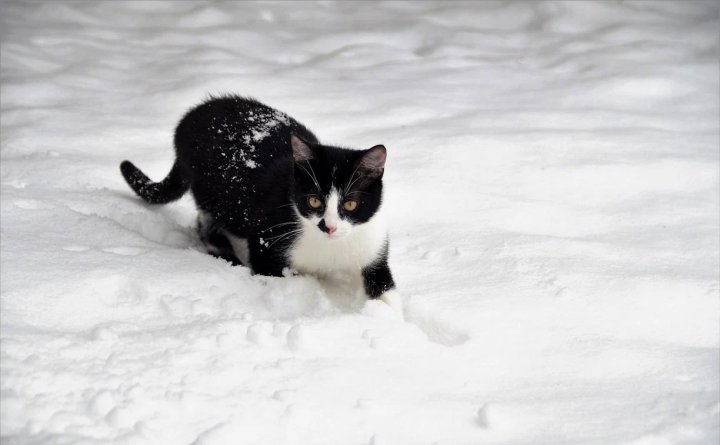 Прогноз погоды в Узбекистане на 10 декабря 2024 года