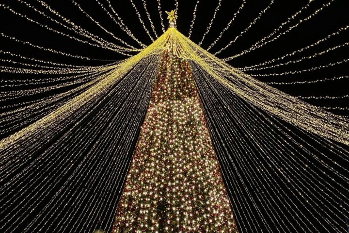 В Ташкенте назвали локацию главной ёлки