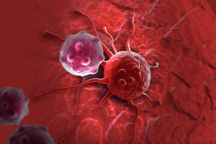 Россия разработала лекарство от рака