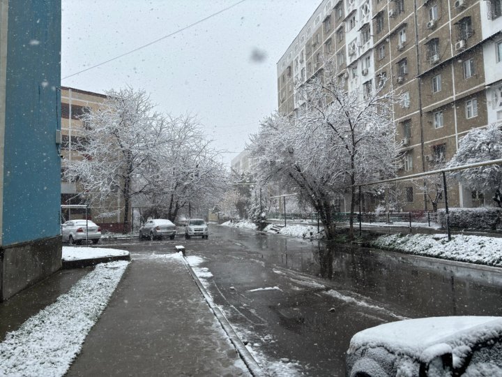 Синоптики рассказали, когда в Узбекистане вновь станет тепло