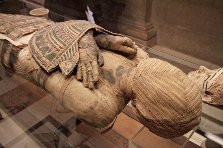 Ученые нашли смертельный вирус в костной ткани египетских мумий
