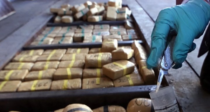 В Самарканде из оборота изъяли более 9кг наркотических веществ, ввезённых из Афганистана и Таджикистана