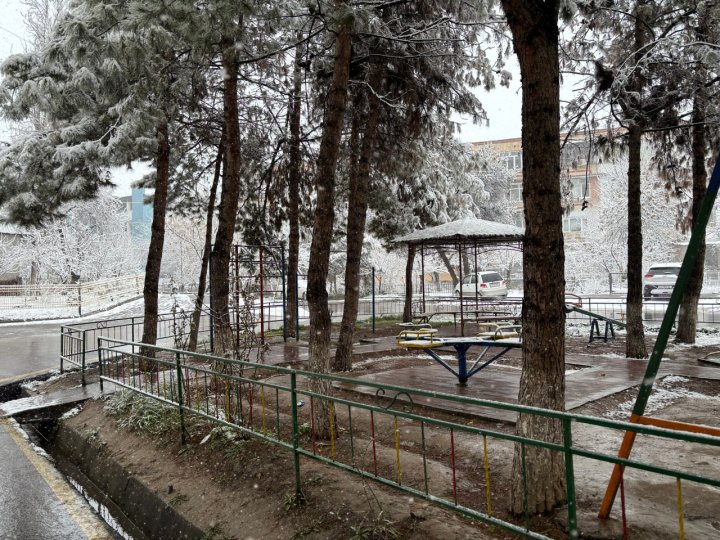 Узбекистанцы оценили работу властей по подготовке к зимнему периоду