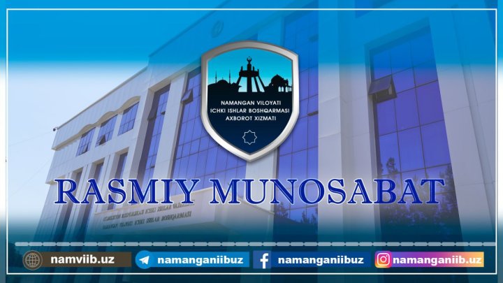 В Наманганской области новогодняя ёлка придавила человека: Правда или ложь?