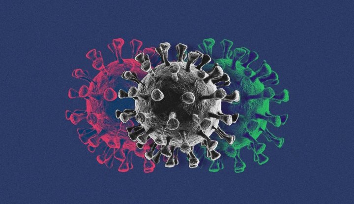 Стало известно, где возник коронавирус