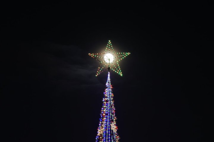 В Намангане установили самую высокую новогоднюю ёлку в Узбекистане высотой 43,4 метра