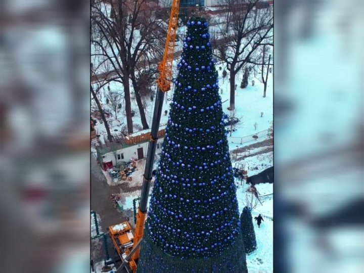 В Ташкенте начали устанавливать главную ёлку