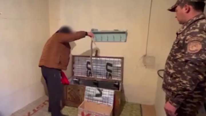 Шоу со змеями в детском саду Ташкентской области дошло до суда