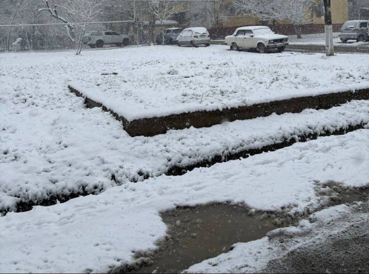 В Узбекистане ожидается снег