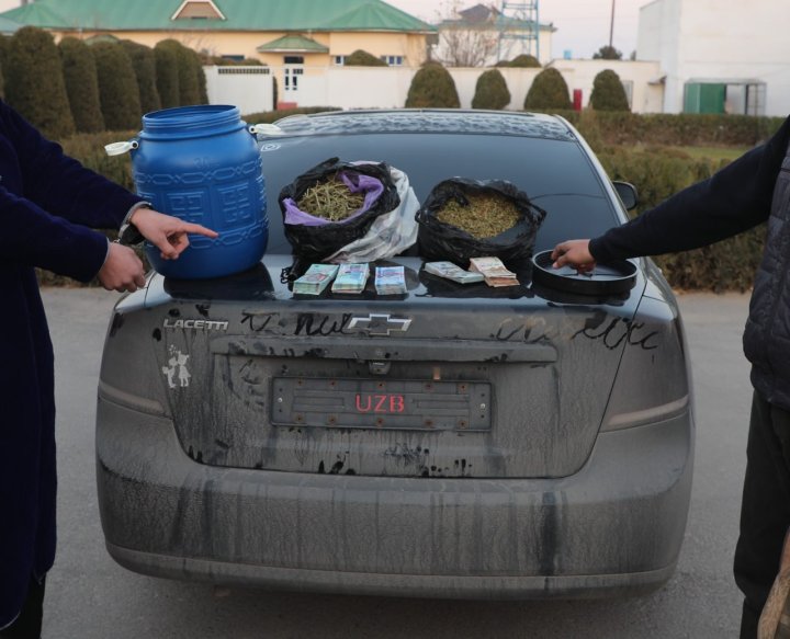 В Сурхандарье из оборота изъяли марихуану, общей стоимостью 112 млн сумов