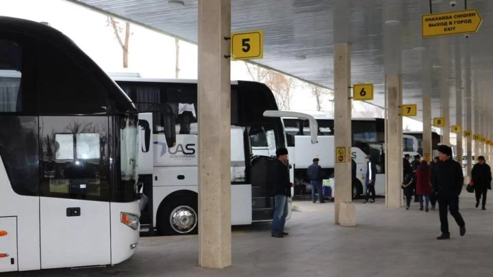 В Узбекистане запустят автобусы по новым международным маршрутам