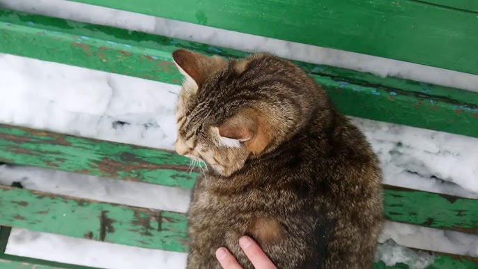 Узбекистанцам рассказали, когда вновь ожидать дождь и снег