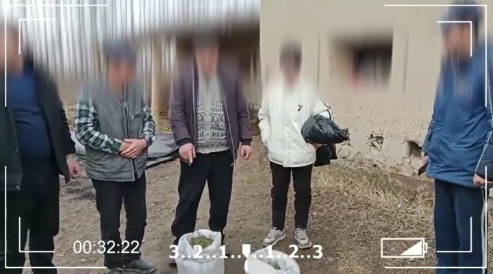 «7,4кг»: Столько наркотиков хранил у себя дома житель Сырдарьи