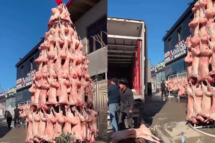 В Самарканде установили «баранью» ёлку — видео