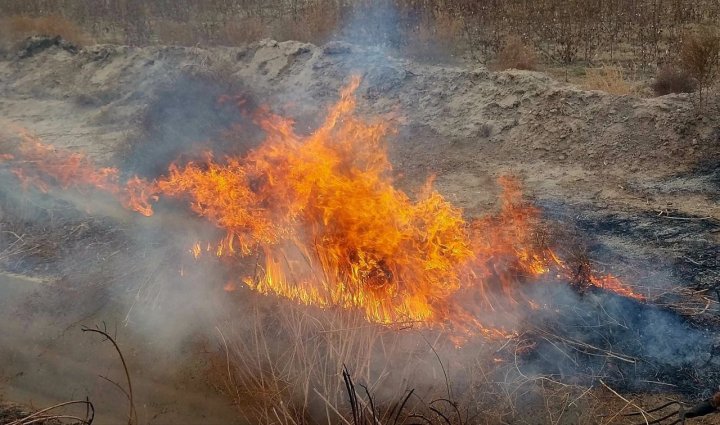 В Ургенче за сжигание мусора мужчина заплатит штраф более 1 млн сумов