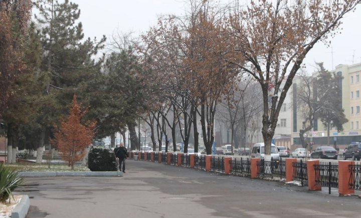 Прошедший январь в Узбекистане назвали теплым