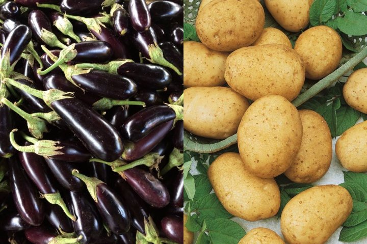 Стало известно, какие продукты больше всего подорожали в Узбекистане