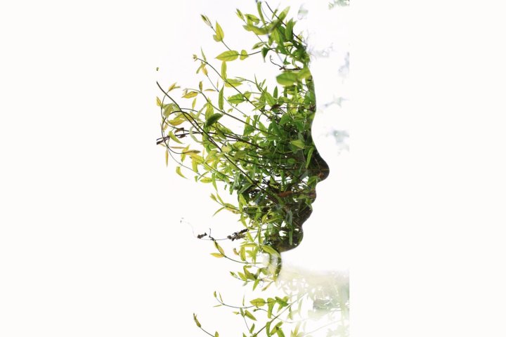 В Ташкенте стало легче дышать