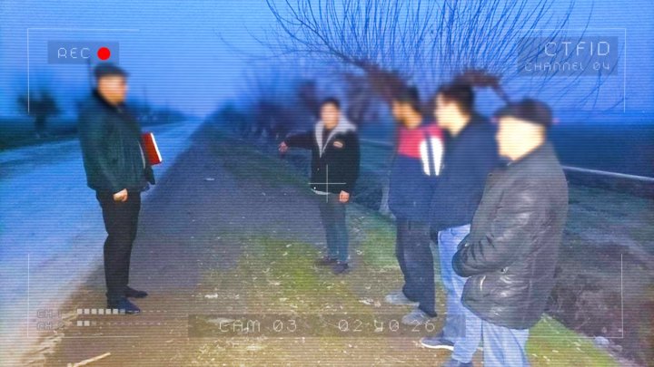 Жители Андижана воровали баранов в Ташкентской области