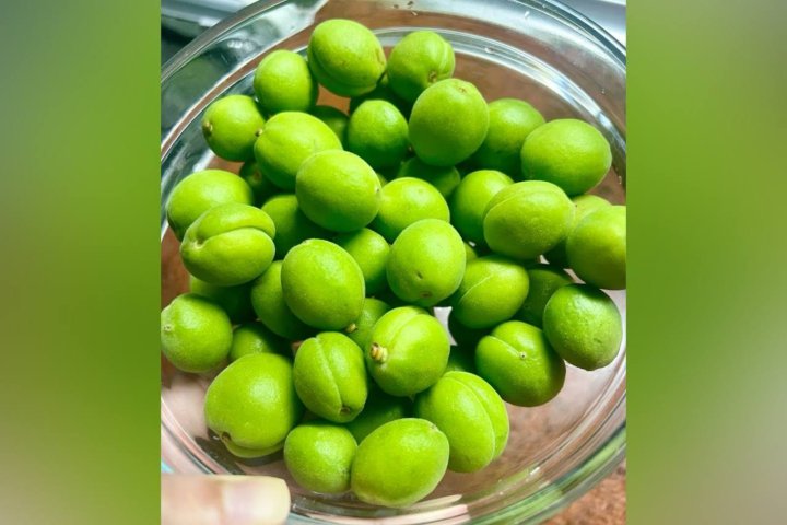 В Ташкенте продают довчу по рекордной цене — 2 100 000 сумов за килограмм