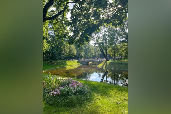 В Узбекистане запретят приватизацию парков и ботанических садов